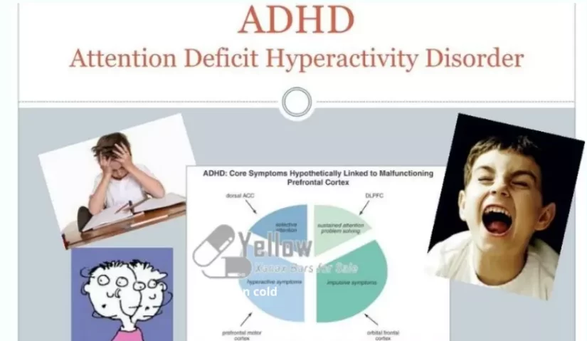 Body doubling Attention deficit hyperactivity disorder (ADHD)