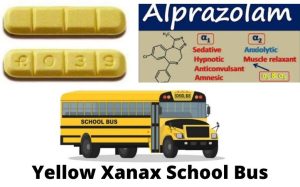 Yellow Xanax School Bus