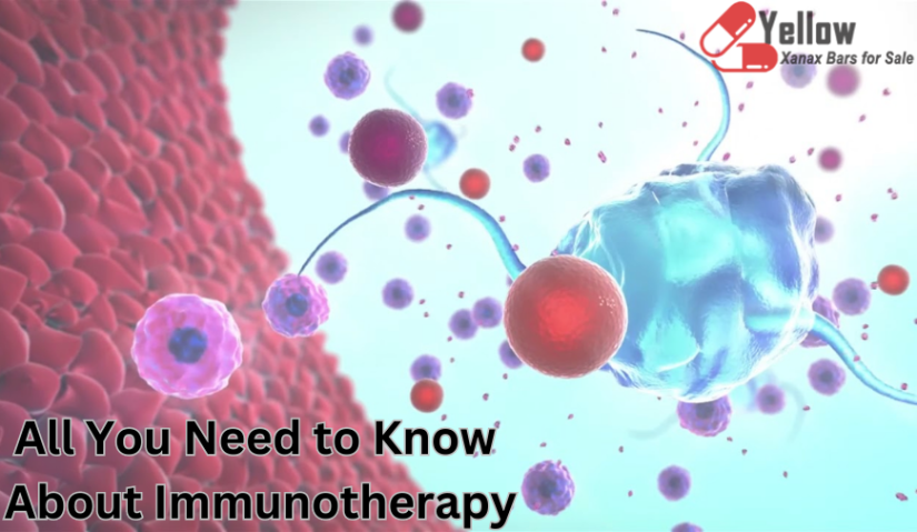 All You Need to Know About Immunotherapy